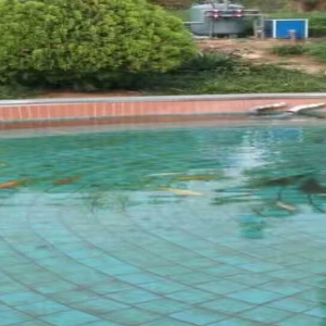 全自動(dòng)過(guò)濾消毒系統(tǒng)