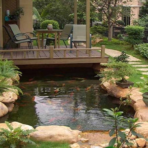 全自動魚池凈化設(shè)備