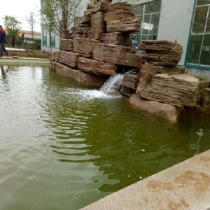 全自動魚池凈化設(shè)備